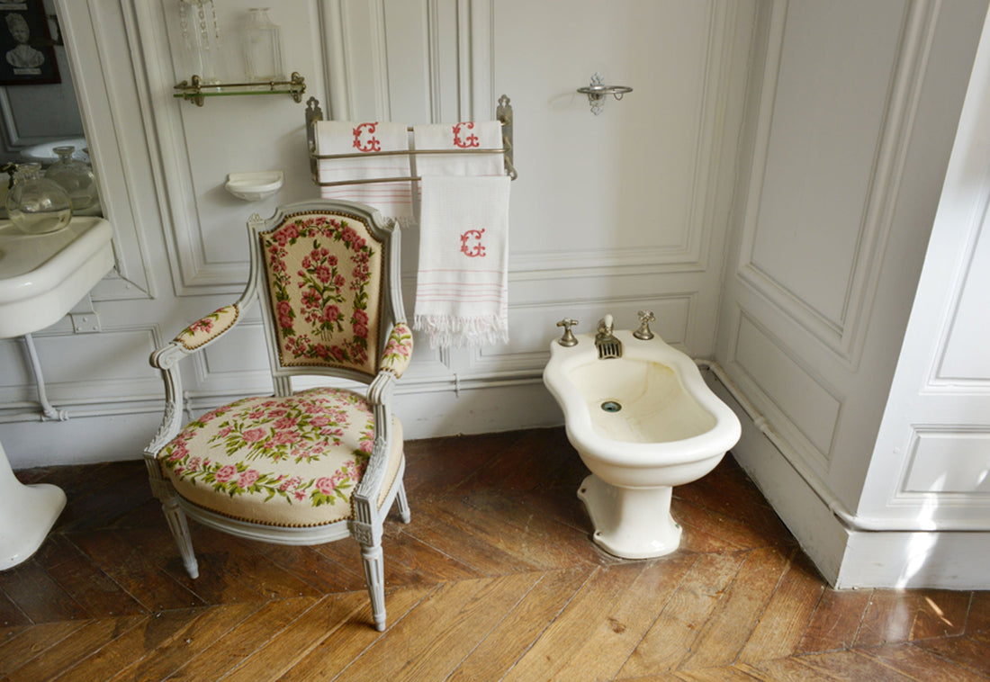 From France to Your Bathroom: The History of the Bidet