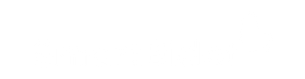 SmartBidet