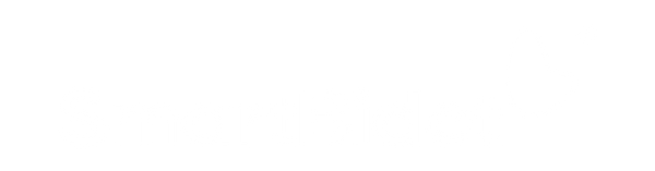 SmartBidet